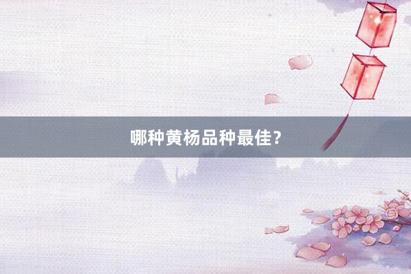 哪种黄杨品种最佳?